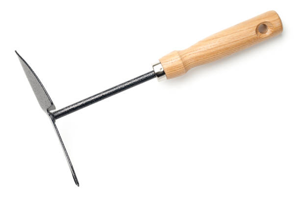 istock Garden Hoe Isolated on White Background 916093396