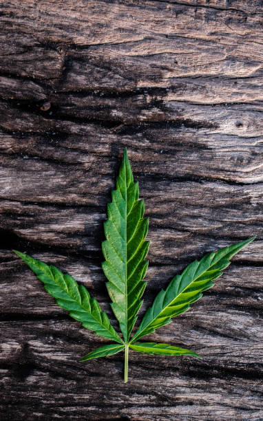 istock marijuana joint weed smoking close up on background 916097798