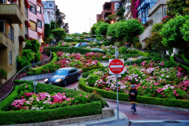 istock San Francisco Road USA 916102032
