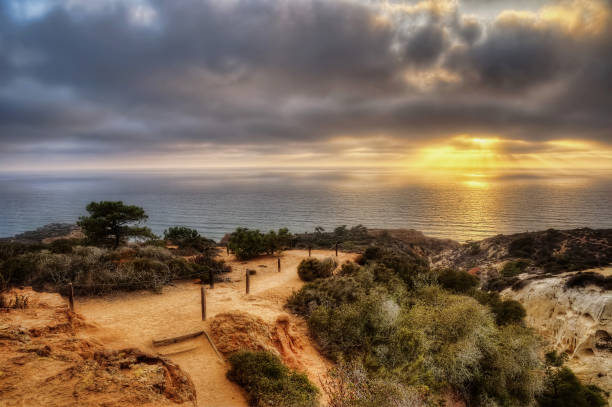 istock Torrey Pines State Park USA 916102260
