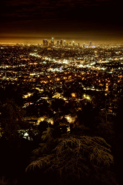 istock Los Angeles Skyline at Night 916102278