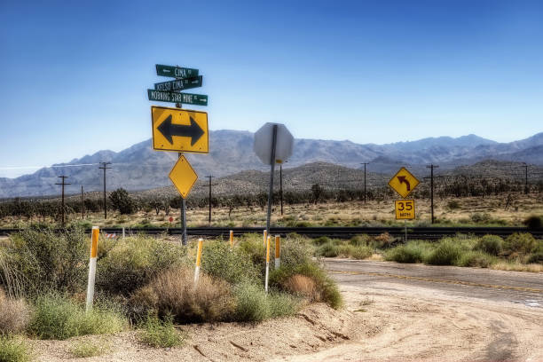 Blue rest area sign on side of road with grey sky and green vegetation