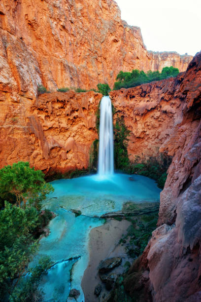 havasu falls - longtime imagens e fotografias de stock