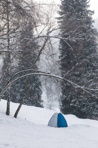 istock tent in the winter forest 916102754