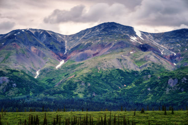 istock Alaska Denali National Park 916102924