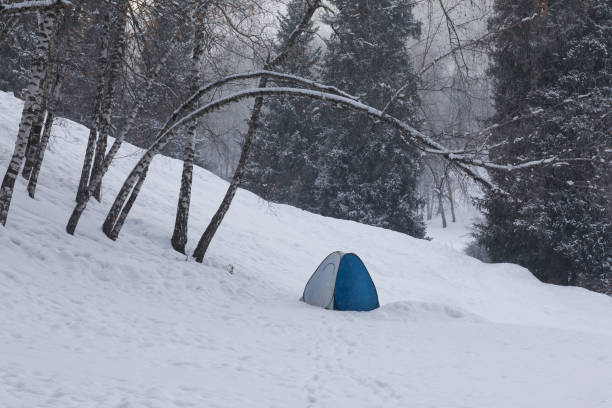 istock tent in the winter forest 916107596