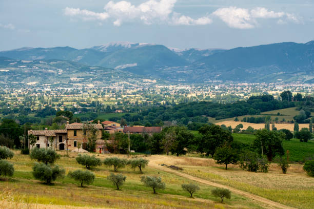 istock Landscape in Umbria at summer 916111880