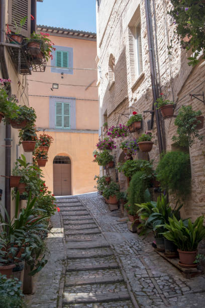 istock Spello, Perugia, medieval city 916112278