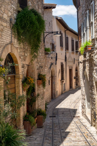 istock Spello, Perugia, medieval city 916112348