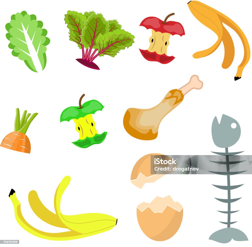 Organic waste, food compost collection Organic waste, food compost collection Banana, egg , fish bone and apple stump. Vector illustration in flat style Garbage stock vector