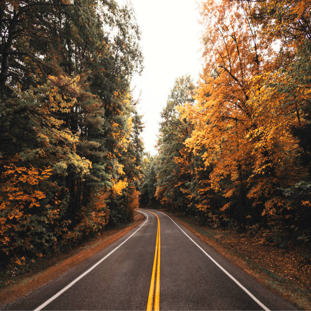 istock autumn road in new england 916115408