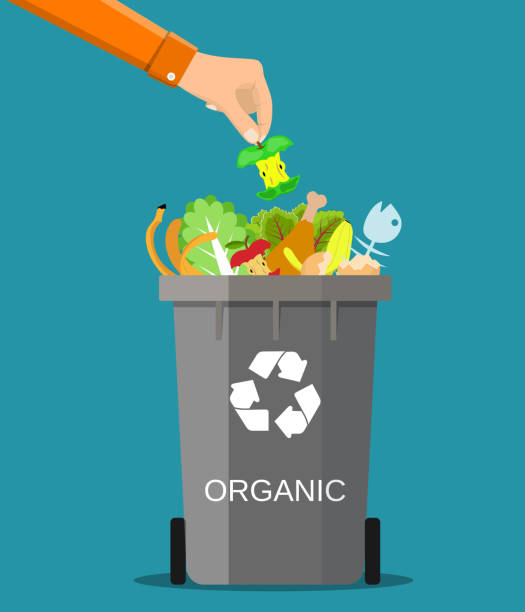 illustrazioni stock, clip art, cartoni animati e icone di tendenza di mano uomo getta spazzatura in un contenitore organico - spreco alimentare
