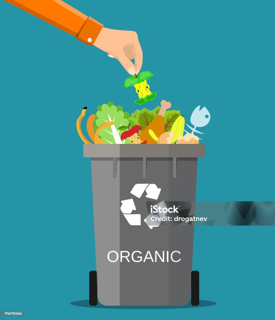 man hand throws garbage into a organic container man hand throws garbage into a organic container. Vector illustration in flat style Food stock vector