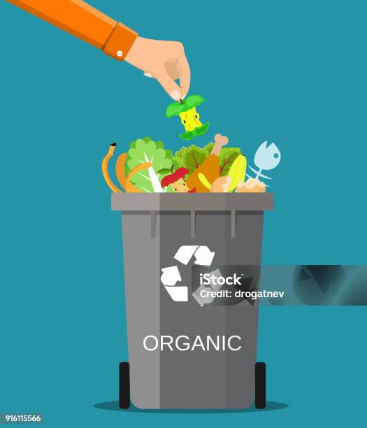 Man Hand Throws Garbage Into A Organic Container Stock Illustration - Download Image Now - Food, Garbage, Organic