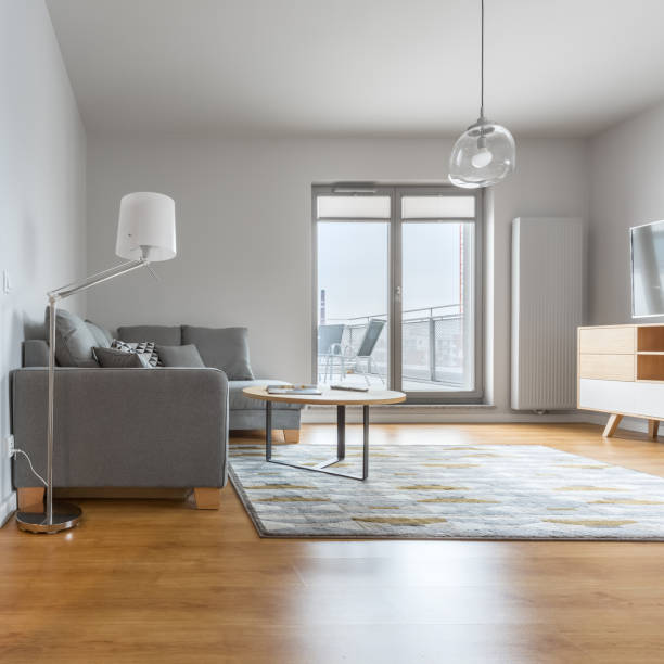 istock Modern living room and hallway 916117430