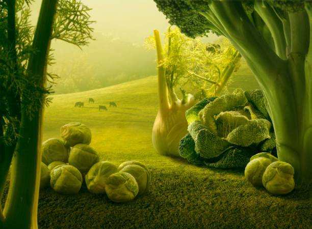 surrealistiska jätte gröna grönsaker i solnedgången fält - troll bildbanksfoton och bilder