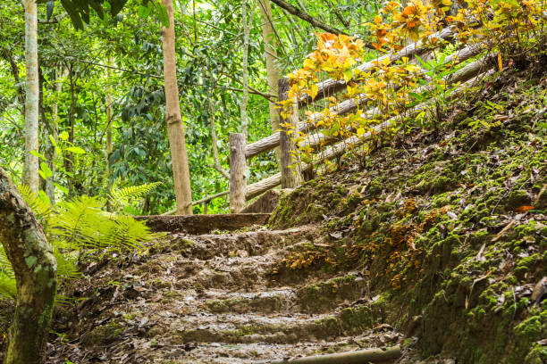 istock Stairs and corridors in the soil moist 916118142