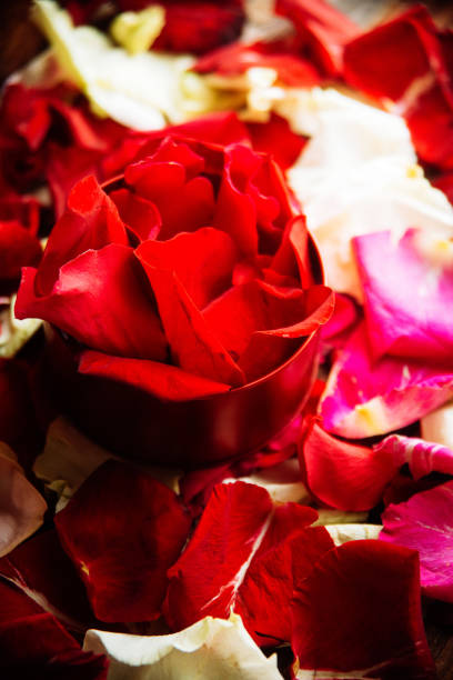 istock Rose petals/toned photo 916133734