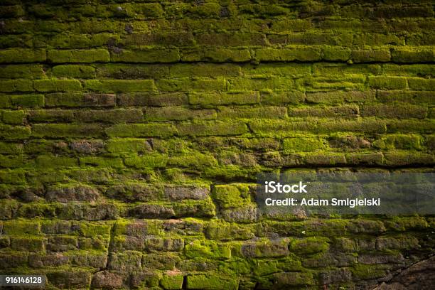 Brick Wall Stock Photo - Download Image Now - Moss, Stone Wall, Wall - Building Feature