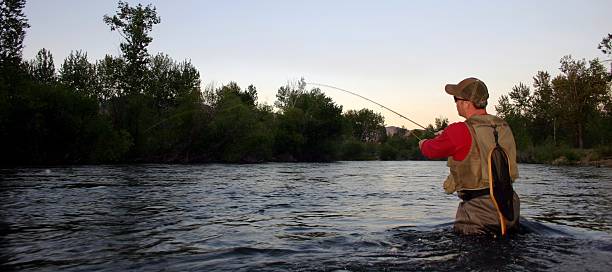 Evening Flyfishing  boise river stock pictures, royalty-free photos & images
