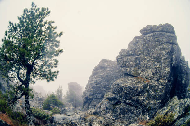 istock Dark mountain landscape with big mysterious rocks covered by fog 916149614