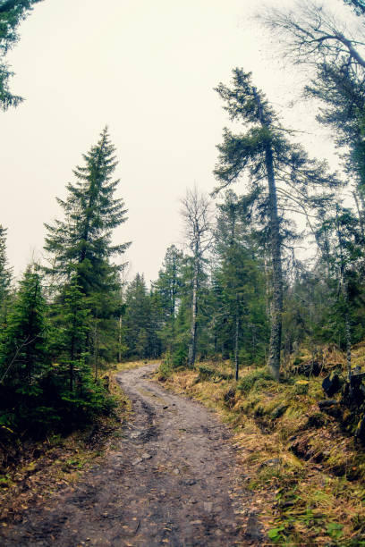 istock Autumn mist over river and forest - Beautiful fall landscape with a river going through stones, surrounded by forests in autumn colors and shrouded by a mystical mist. 916149786