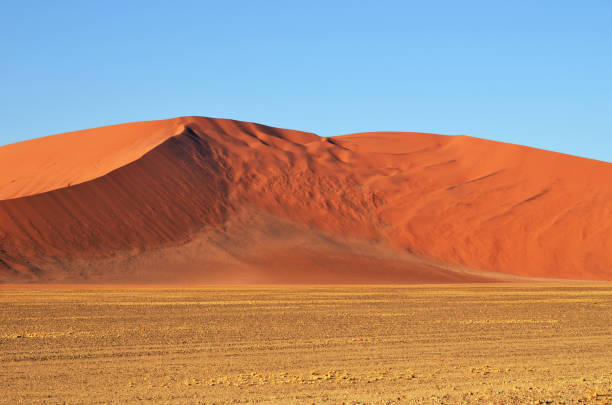 istock Sossusvlei, Namib Naukluft National Park, Namibia 916149866