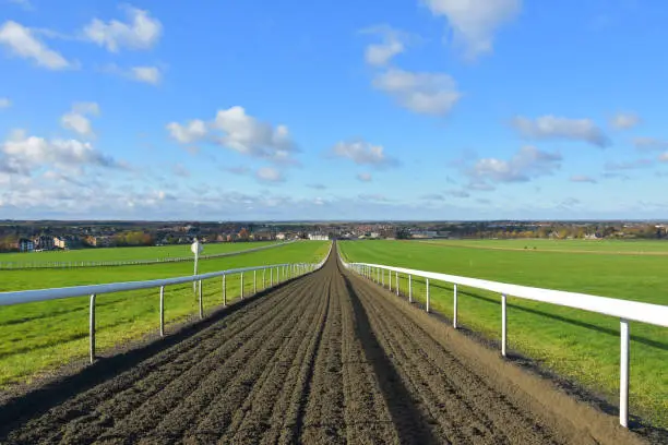 Looking down the gallops on Newmarket heath, Suffolk