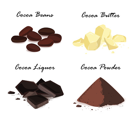 Super food cocoa beans and their products. Cocoa beans, cocoa butter, cocoa liquor and powder. Vector set.