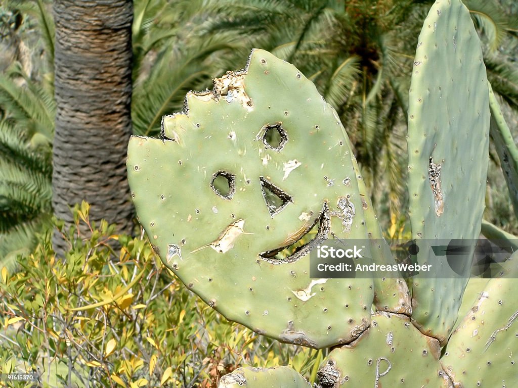 Cactus Begrüßung - Lizenzfrei Alt Stock-Foto
