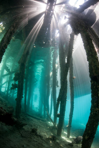 istock Light and Shadows Under a Jetty in Raja Ampat 916156896
