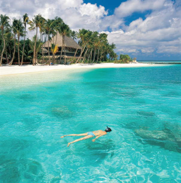 istock maldives seascape on Hilton island resorts. 91615749
