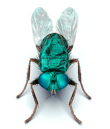 digital safety concept electronic computer bug isolated, 3D illustration