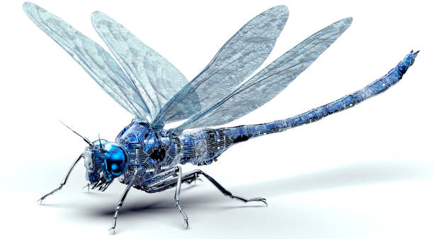 Maori brugerdefinerede titel 4,400+ Robot Insect Stock Photos, Pictures & Royalty-Free Images - iStock |  Technology, Nanotechnology, Futuristic city