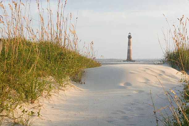 Lighthouse on the sandy beach surrounded by greenery growth The Morris Island Lighthouse from Folly Beach. charleston south carolina photos stock pictures, royalty-free photos & images