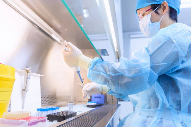 istock The scientist experimented in the laboratory 916168340