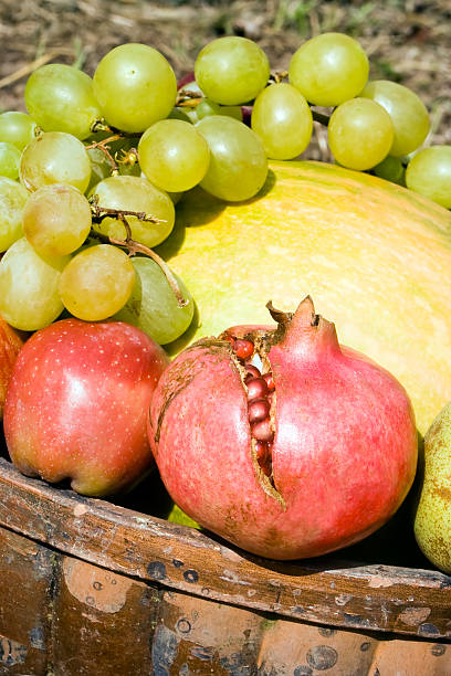 Fruits Harvest stock photo