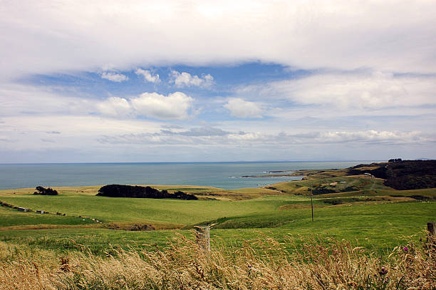 NZ Landscape stock photo