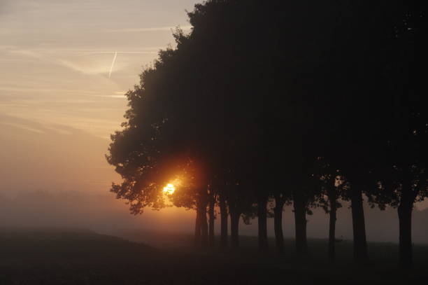 istock Sunrise setting in the ountry 916170990