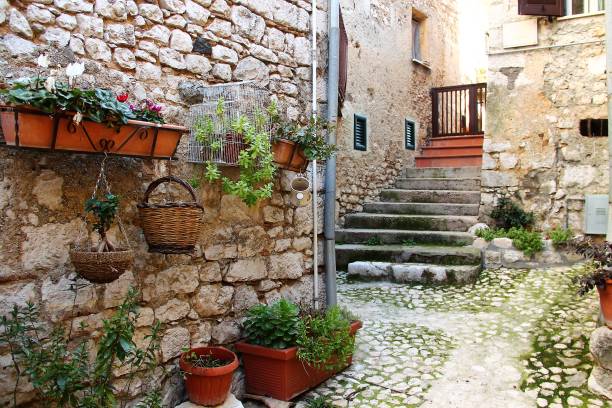 istock Fumone, a medieval village in Italy 916171542