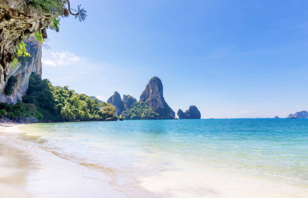 istock Popular travel tropical karst rocks Tonsai 916177384