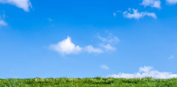 istock Green grass and blue sky with white clouds 916177552