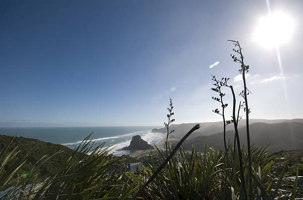 istock View of Piha Beach 91617991