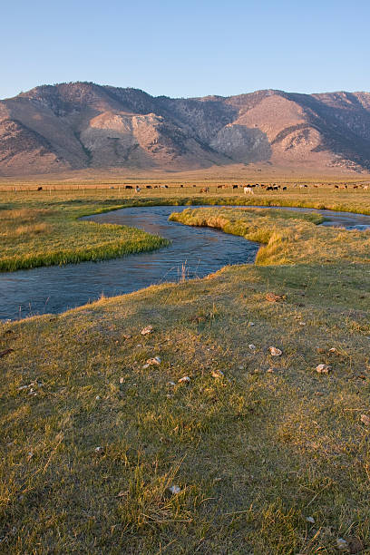 Owens Oxbow  owens river stock pictures, royalty-free photos & images