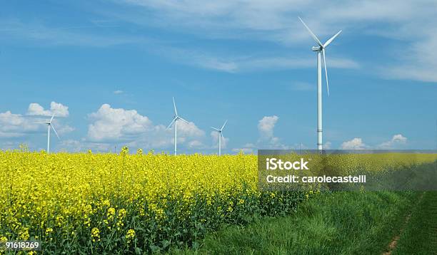 Farm De Windturbines Cerca De Rape Field Foto de stock y más banco de imágenes de Agricultura - Agricultura, Aerogenerador, Aire libre