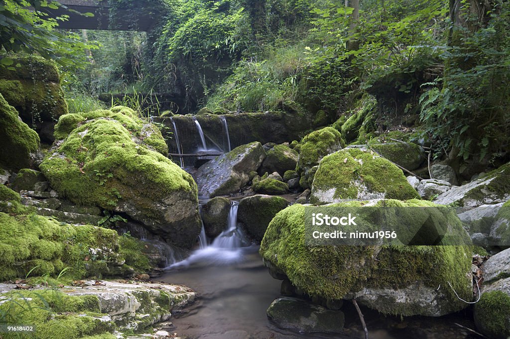 Небольшой лесной Водопад в высокий Chiampo Долина, Италия - Стоковые фото Без людей роялти-фри