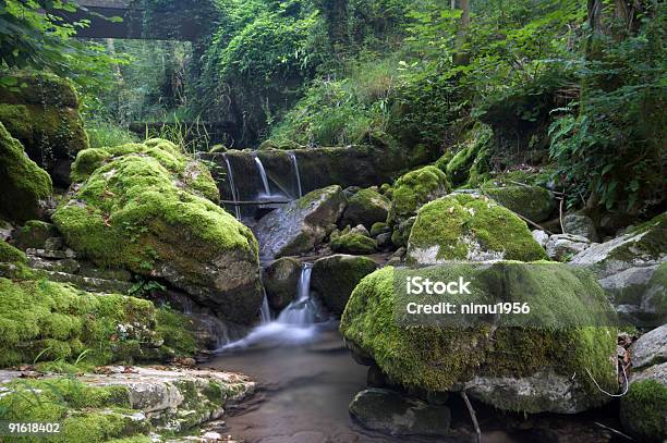 Небольшой Лесной Водопад В Высокий Chiampo Долина Италия — стоковые фотографии и другие картинки Без людей