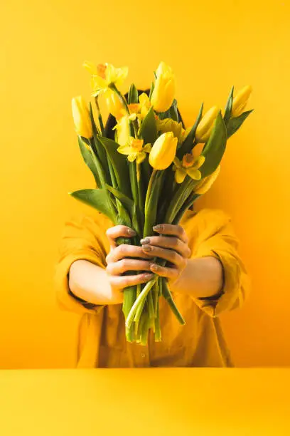 Photo of close-up view of girl holding beautiful yellow spring flowers on yellow