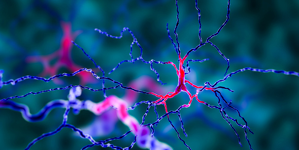 Dopaminergic neuron, computer reconstruction. Degeneration of this brain cells are responsible for development of Parkinson's disease, 3D illustration