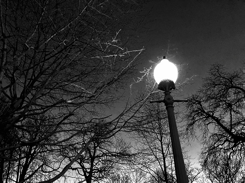 monochromatic street lamp and winter